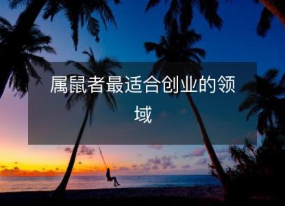 属鼠者最适合创业的领域