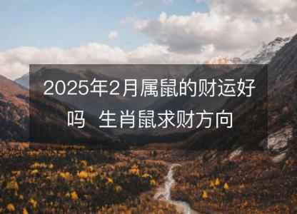 2025年2月属鼠的财运好吗  生肖鼠求财方向