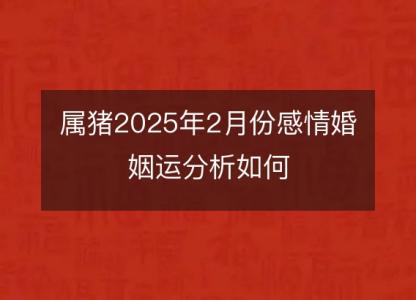 属猪2025年2月份感情婚姻运分析如何