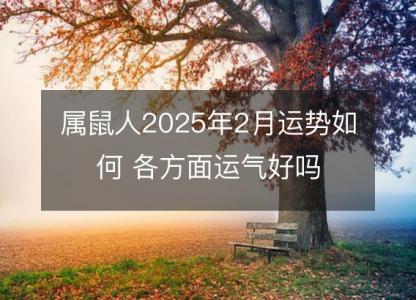 属鼠人2025年2月运势如何 各方面运气好吗