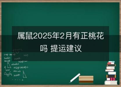 属鼠2025年2月有正桃花吗 提运建议