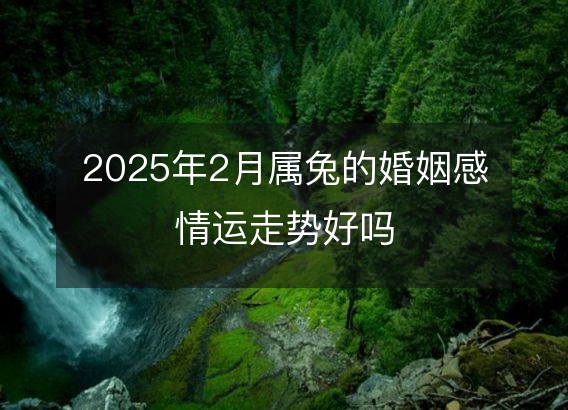 2025年2月属兔的婚姻感情运走势好吗