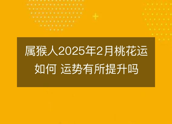 属猴人2025年2月桃花运如何 运势有所提升吗