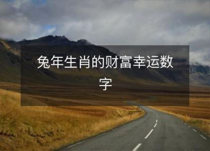 兔年生肖的财富幸运数字