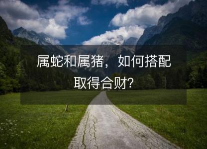 属蛇和属猪，如何搭配取得合财？