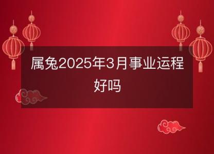 属兔2025年3月事业运程好吗