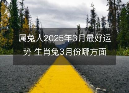 属兔人2025年3月最好运势 生肖兔3月份哪方面运气好