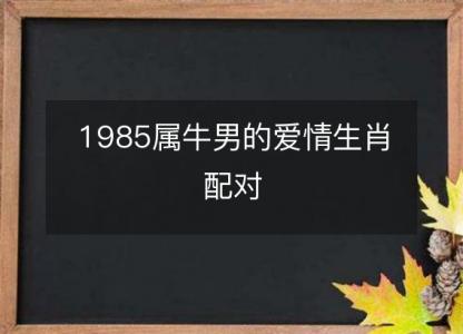 1985属牛男的爱情生肖配对