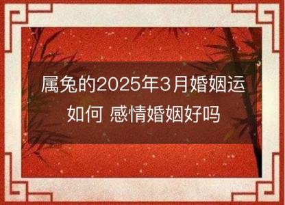 属兔的2025年3月婚姻运如何 感情婚姻好吗