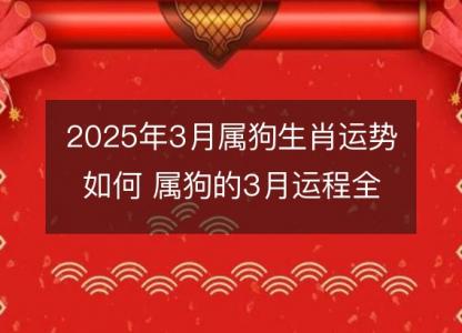 2025年3月属狗生肖运势如何 属狗的3月运程全面分解