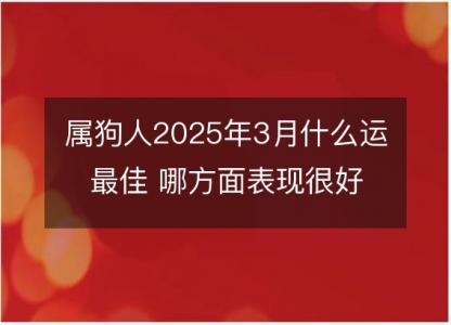 属狗人2025年3月什么运最佳 哪方面表现很好