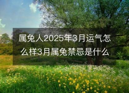 属兔人2025年3月运气怎么样3月属兔禁忌是什么