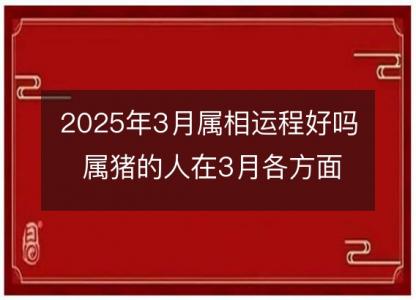 2025年3月属相运程好吗 属猪的人在3月各方面运势好吗