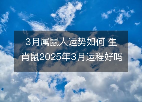 3月属鼠人运势如何 生肖鼠2025年3月运程好吗