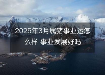 2025年3月属猪事业运怎么样 事业发展好吗