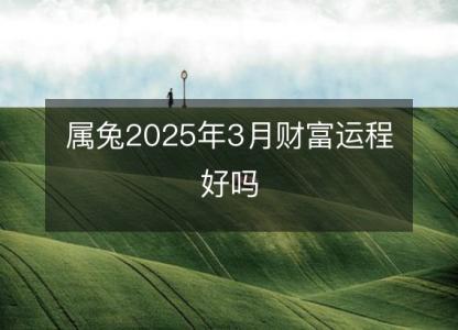 属兔2025年3月财富运程好吗