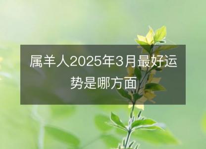 属羊人2025年3月最好运势是哪方面