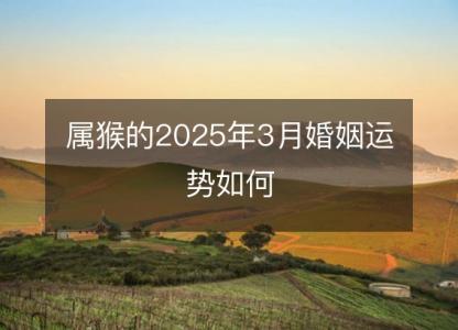 属猴的2025年3月婚姻运势如何