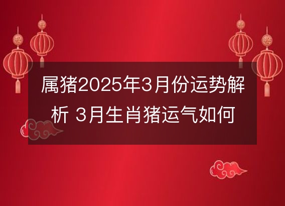 属猪2025年3月份运势解析 3月生肖猪运气如何