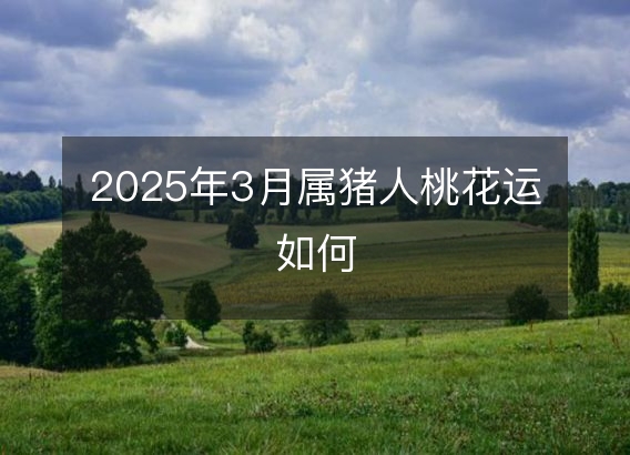 2025年3月属猪人桃花运如何