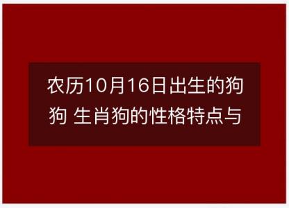 农历10月16日出生的狗狗 生肖狗的性格特点与命运解析