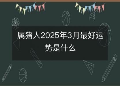 属猪人2025年3月最好运势是什么