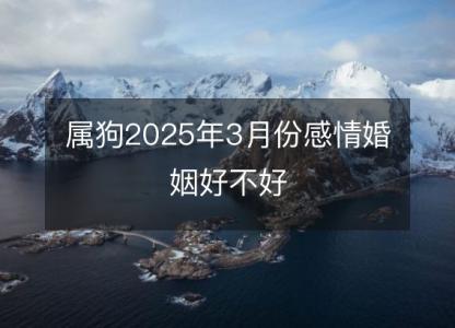 属狗2025年3月份感情婚姻好不好