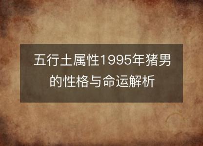 五行土属性1995年猪男的性格与命运解析