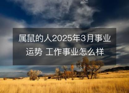 属鼠的人2025年3月事业运势 工作事业怎么样