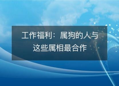 工作福利：属狗的人与这些属相最合作