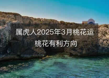 属虎人2025年3月桃花运 桃花有利方向