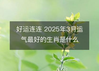 好运连连 2025年3月运气最好的生肖是什么