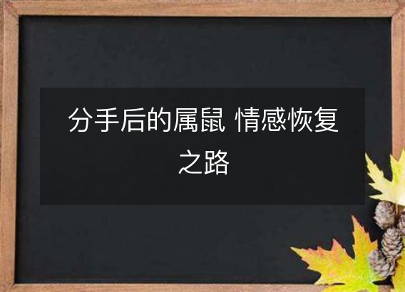 分手后的属鼠 情感恢复之路