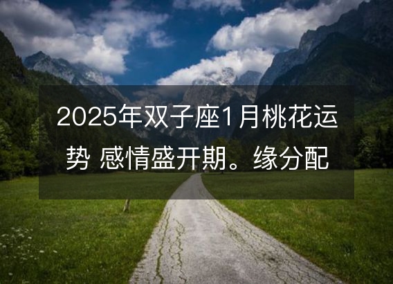 2025年双子座1月桃花运势 感情盛开期。缘分配对分析