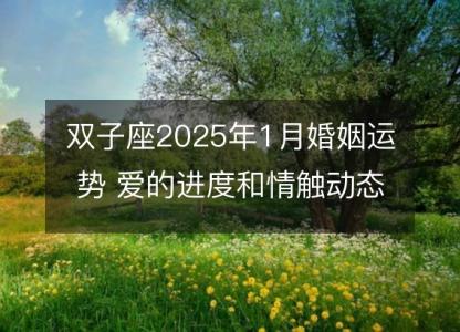 双子座2025年1月婚姻运势 爱的进度和情触动态分析