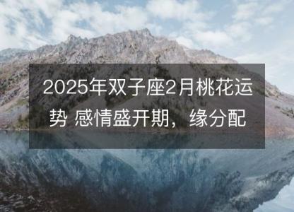 2025年双子座2月桃花运势 感情盛开期，缘分配对分析