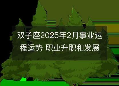 双子座2025年2月事业运程运势 职业升职和发展前瞻