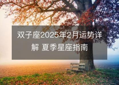 双子座2025年2月运势详解 夏季星座指南