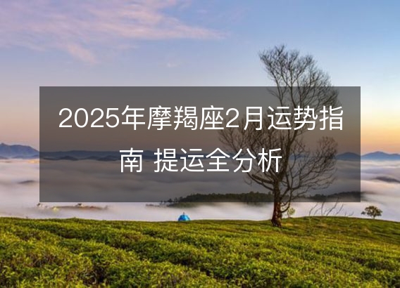 2025年摩羯座2月运势指南 提运全分析