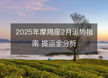 2025年摩羯座2月运势指南 提运全分析