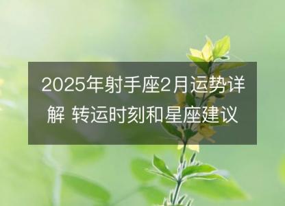 2025年射手座2月运势详解 转运时刻和星座建议