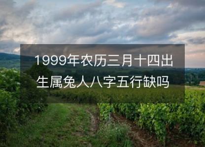 1999年农历三月十四出生属兔人八字五行缺吗？命运、婚姻、<font color='red'>性格</font>、事业财运！