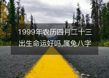 1999年农历四月<font color='red'>二十三</font>出生命运好吗,属兔八字五行事业感情解析