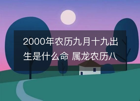 2000年农历九月十九出生是什么命 属龙农历八字五行解析  性格特点