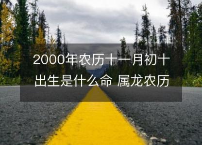 2000年农历十一月初十出生是什么命 属龙农历八字五行解析  <font color='red'>性格特点</font>