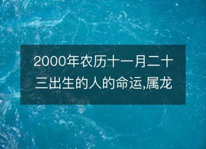 2000年农历十一月<font color='red'>二十三</font>出生的人的命运,属龙八字五行 性格特点