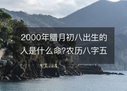 2000年腊月初八出生的人是什么命?农历八字五行 事业<font color='red'>财运</font>分析