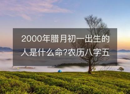 2000年腊月初一出生的人是什么命?农历八字五行 事业<font color='red'>财运</font>分析