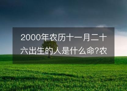 2000年农历十一月二十六出生的人是什么命?农历八字五行 事业<font color='red'>财运</font>分析