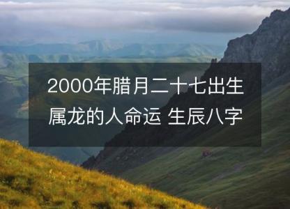 2000年腊月二十七出生属龙的人命运 生辰八字五行 事业<font color='red'>财运</font>详解